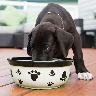 Vet's Best® Dental Atemerfrischer