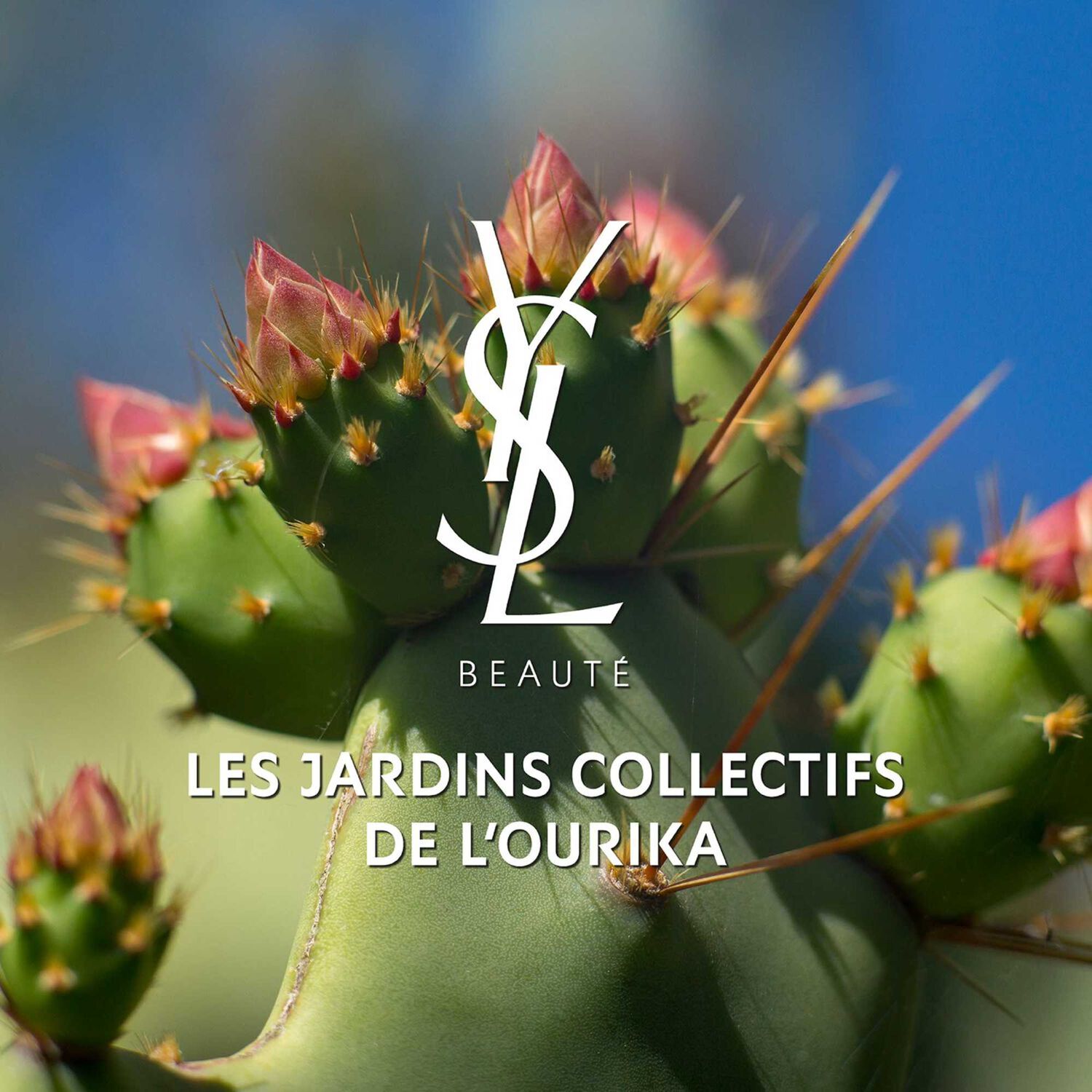 Yves St Laurent Libre Huile Sublimatrice pour le Corps