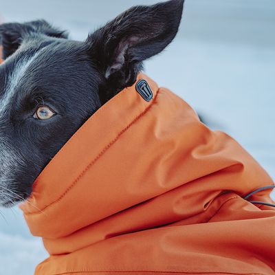 Hurtta Bare Winterjacke Sunrise