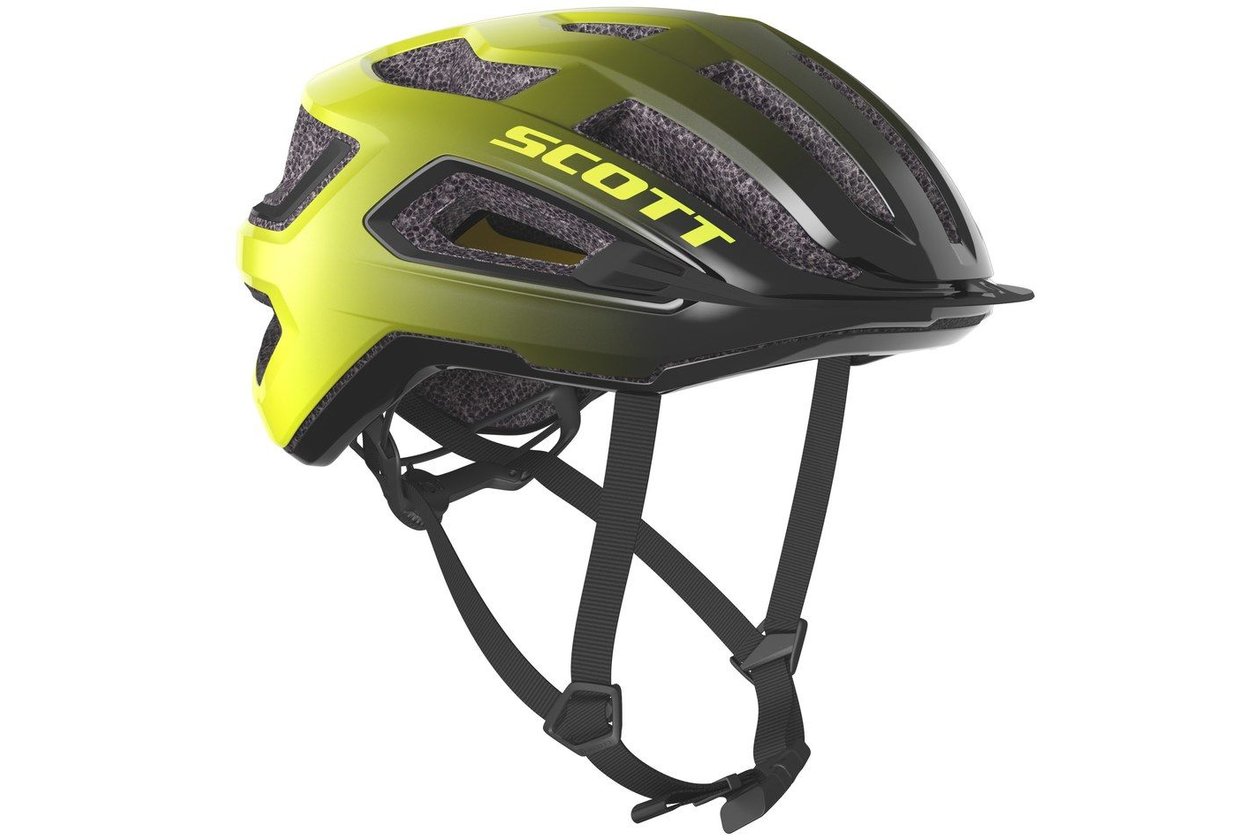 Scott Arx Plus
