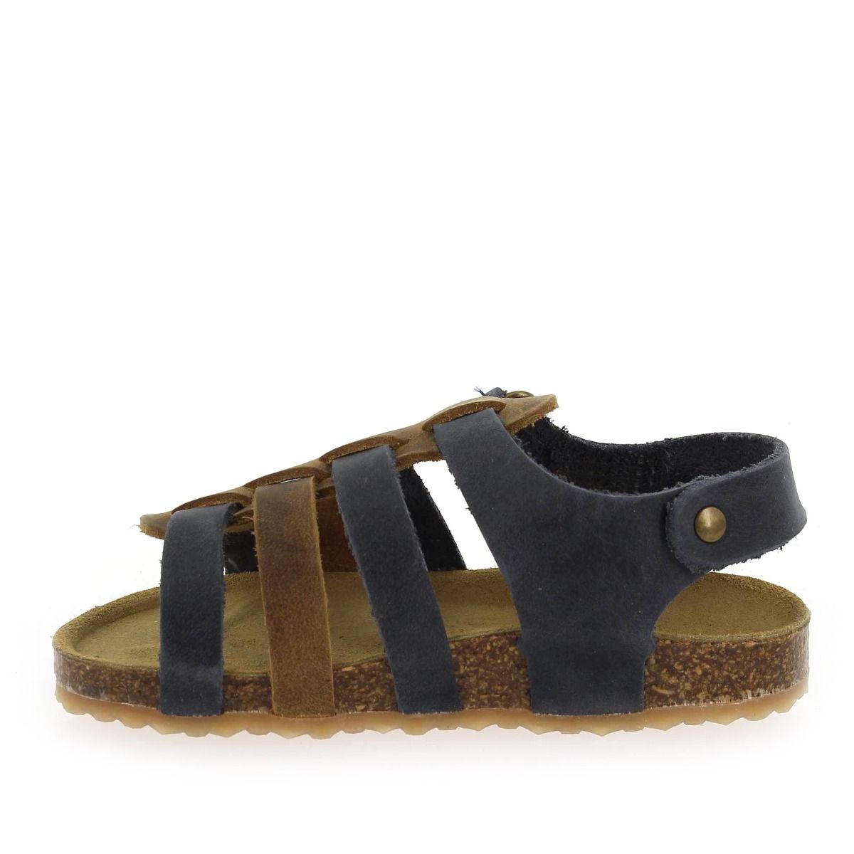 Plakton   PADOVA - Marine Camel