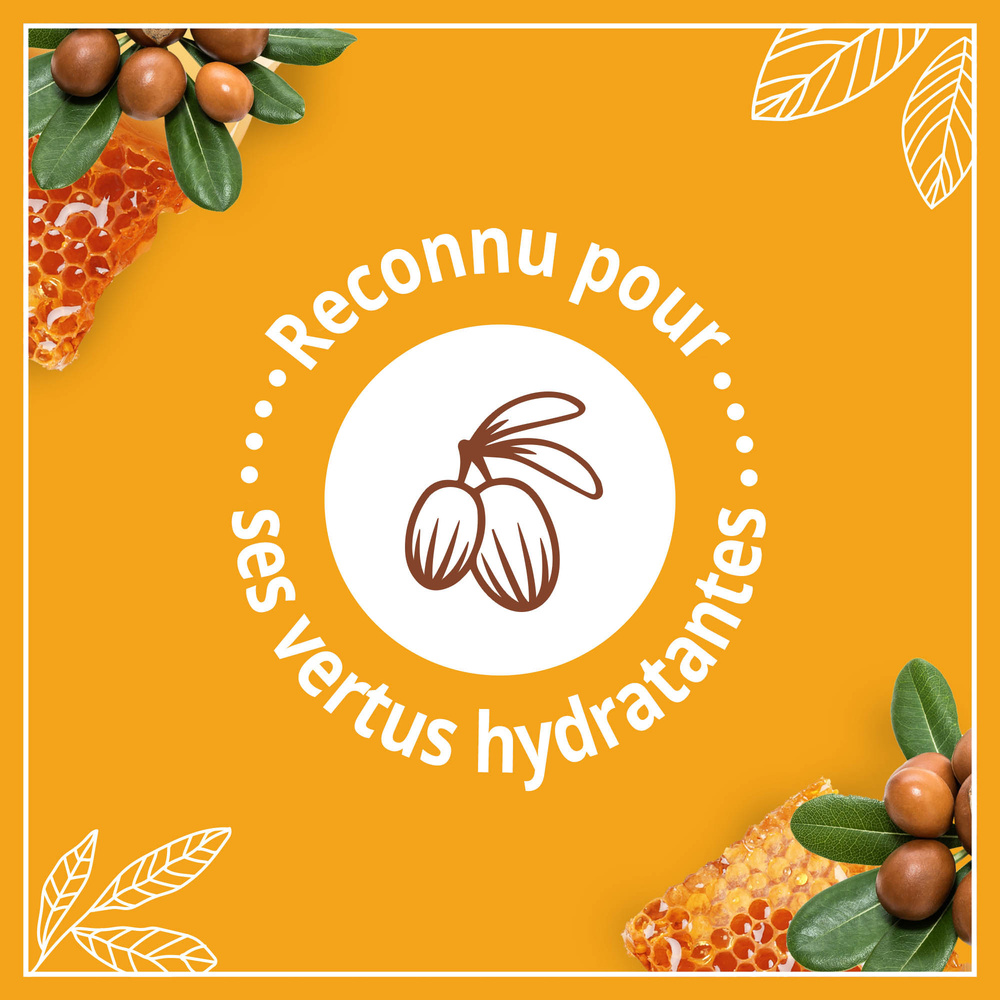 le petit marseillais Shampooing Nutrition, Cheveux Secs, Miel de Provence BIO & Karité BIO Shampoing