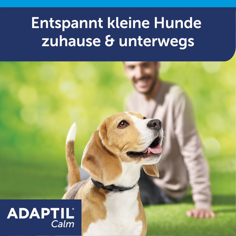 ADAPTIL Calm Halsband für Hunde zu TOP-Preisen