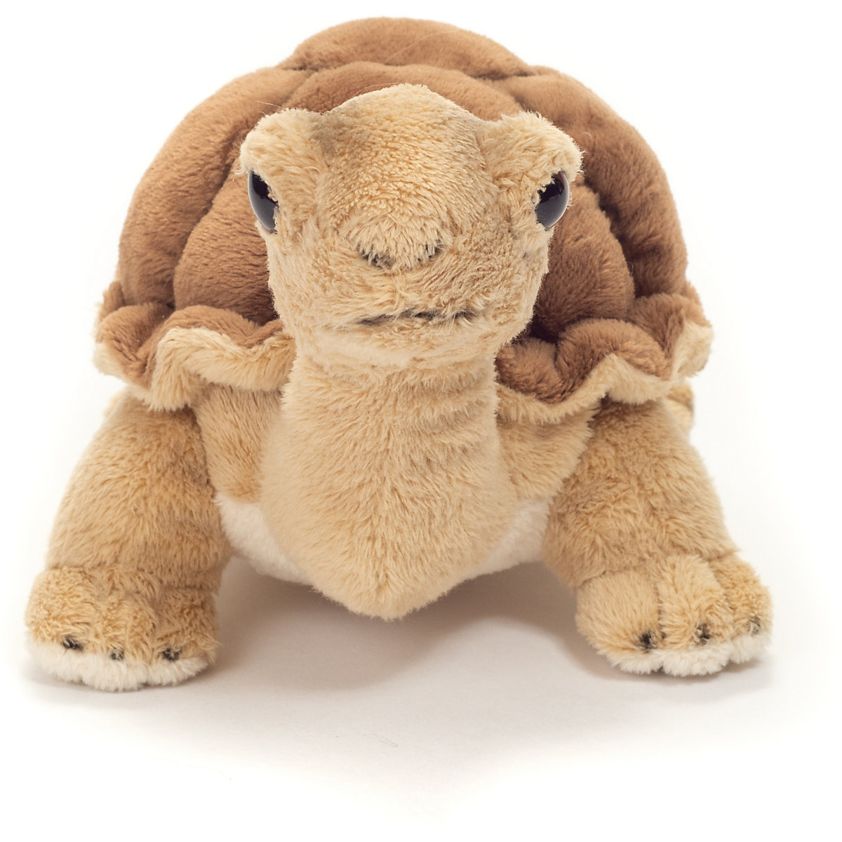 Schildkröte 20 cm
