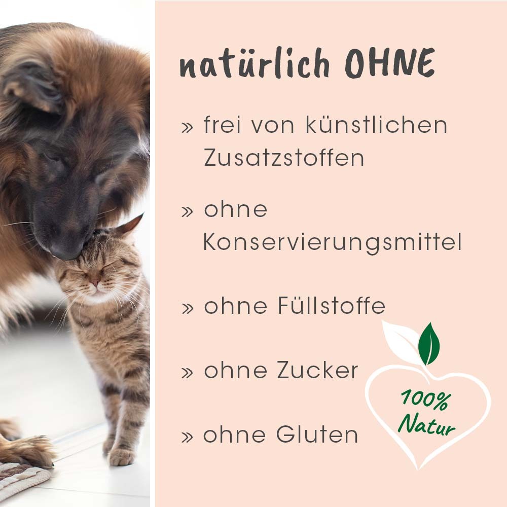 Singulares Ergänzungsfutter & Aufzucht Singulares Lachsöl