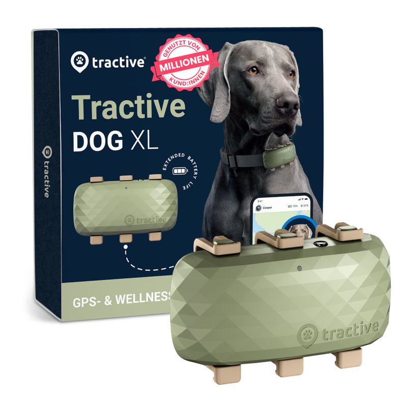 Tractive GPS Tracker XL für Hunde zu TOP-Preisen