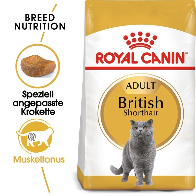 ROYAL CANIN Trockenfutter ROYAL CANIN British Shorthair Adult 4 kg
