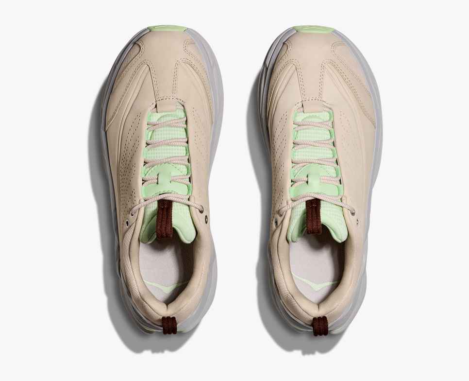 Elevon X Oatmeal / Luna Moth