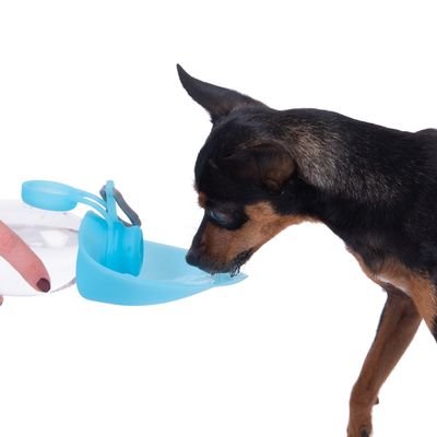 Smartpet Trinkflasche für unterwegs
