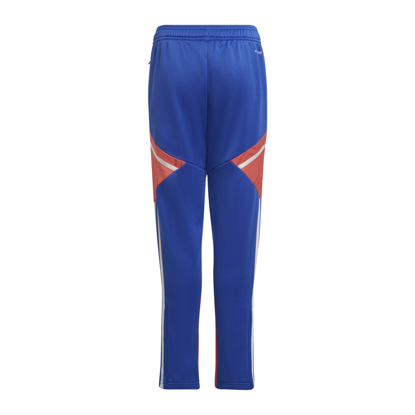 adidas Condivo Predator Trainingshose Kids Blau