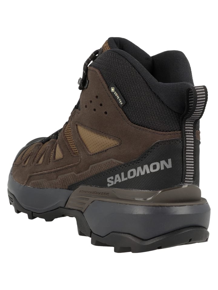 SALOMON Outdoorschuhe X Ultra 360 LTR Mid GTX in dunkelbraun günstig kaufen