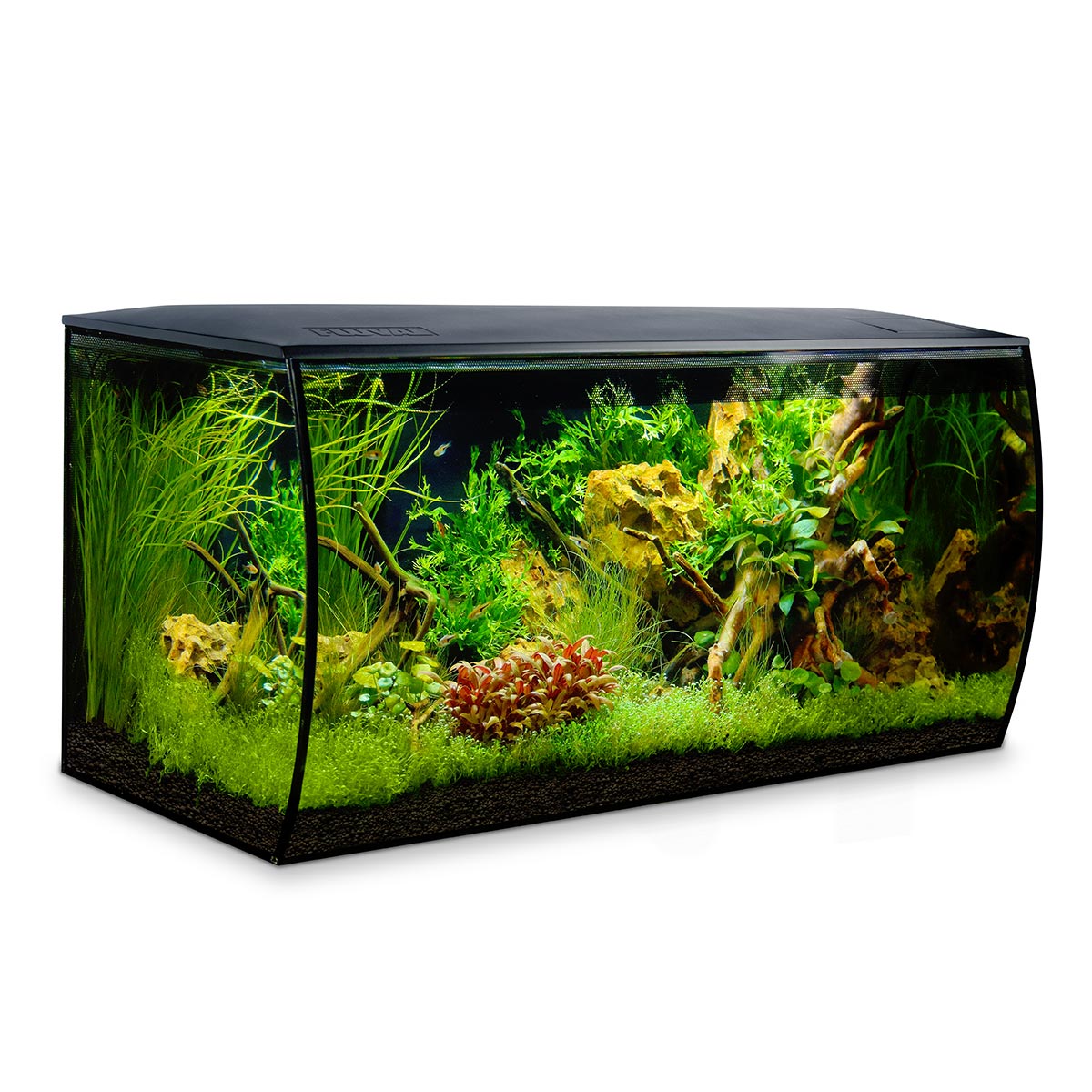 Fluval Aquarium FLEX 123 Liter günstig kaufen