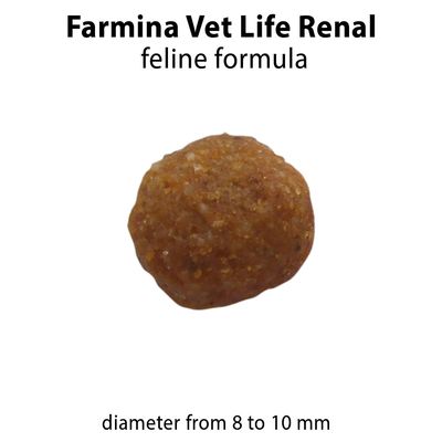 Farmina Vet Life Renal Feline