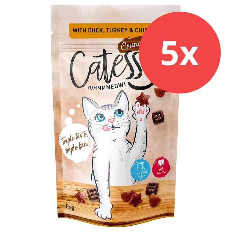 Sparpaket Catessy Knuspersnacks 5 x 65 g zu TOP-Preisen | bitiba