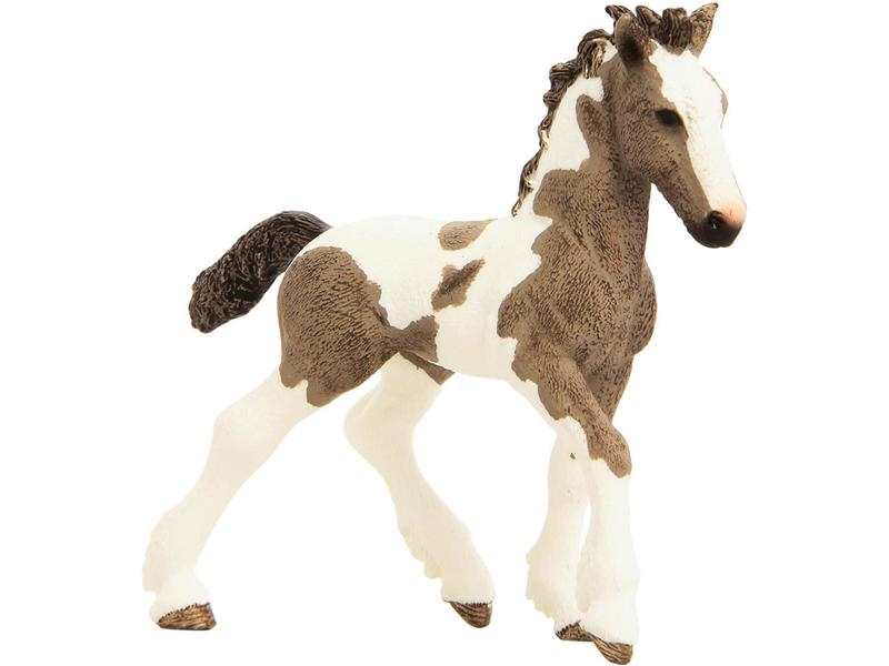 Poulain Tinker