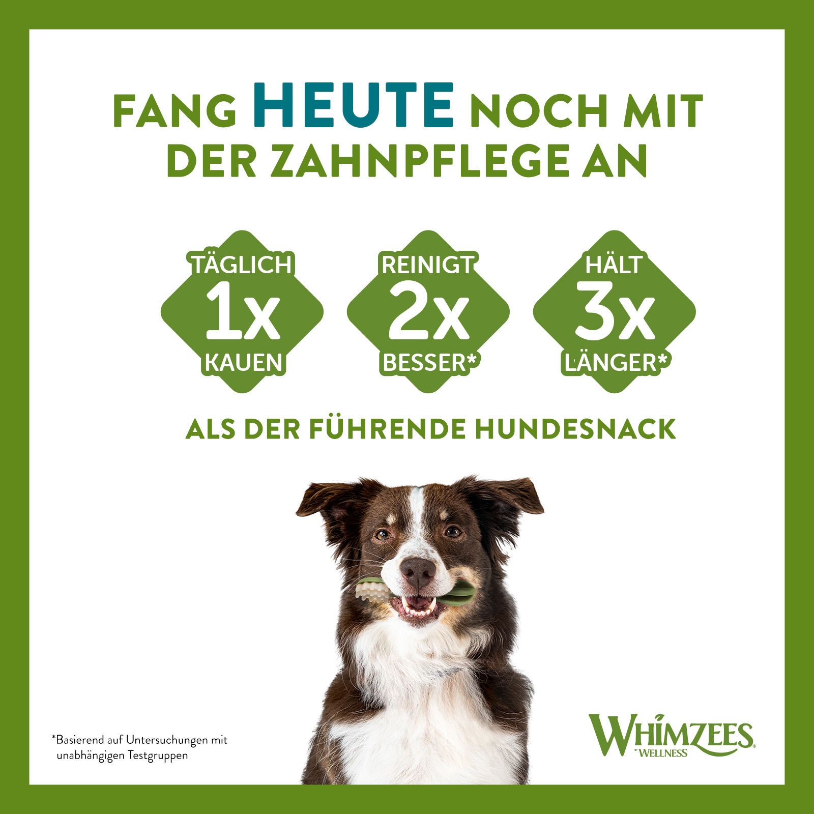 WHIMZEES Snacks WHIMZEES Zahnpflegesnacks Stix 24+4 Stück