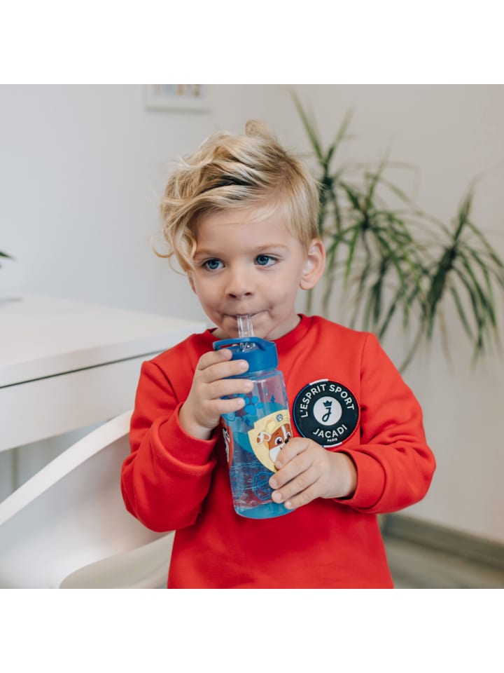 Paw Patrol Aero-Getränkeflasche 500 ml – Praktische Trinkflasche für Kinder in Blau günstig kaufen 500 ml
