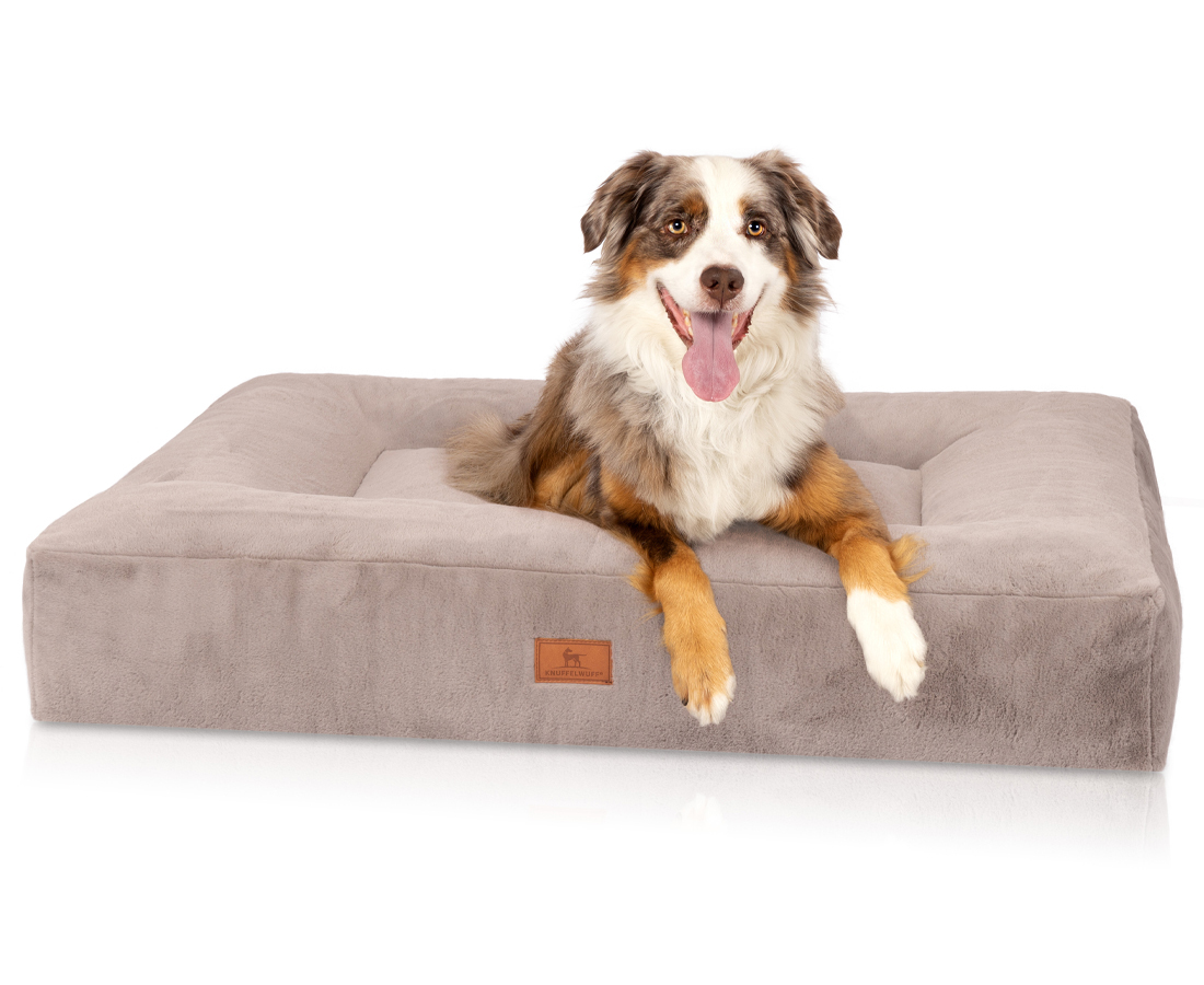 Knuffelwuff Hundebetten Knuffelwuff orthopädisches Hundebett mit kuschelig weichem Kaninchen Fellimitat Midland beige/ grau XXL