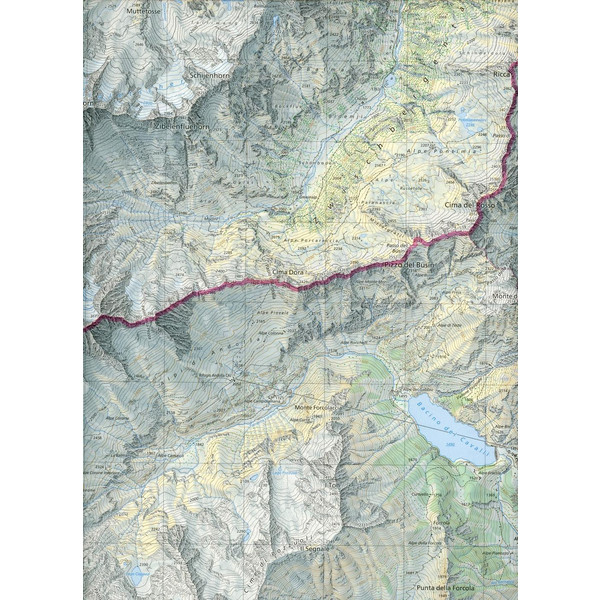 Swisstopo 1 : 25 000 Saas - Wanderkarte