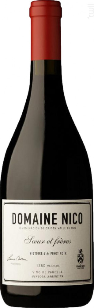 Histoire d'A Domaine Nico Vin Rouge●Tupungato 2021 75cl