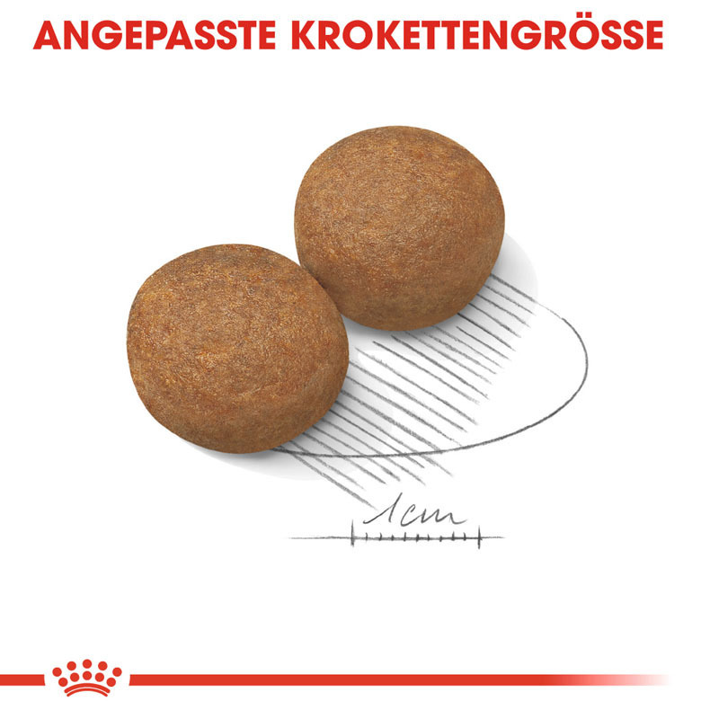 ROYAL CANIN Hundetrockenfutter ROYAL CANIN Maxi Adult 15 kg
