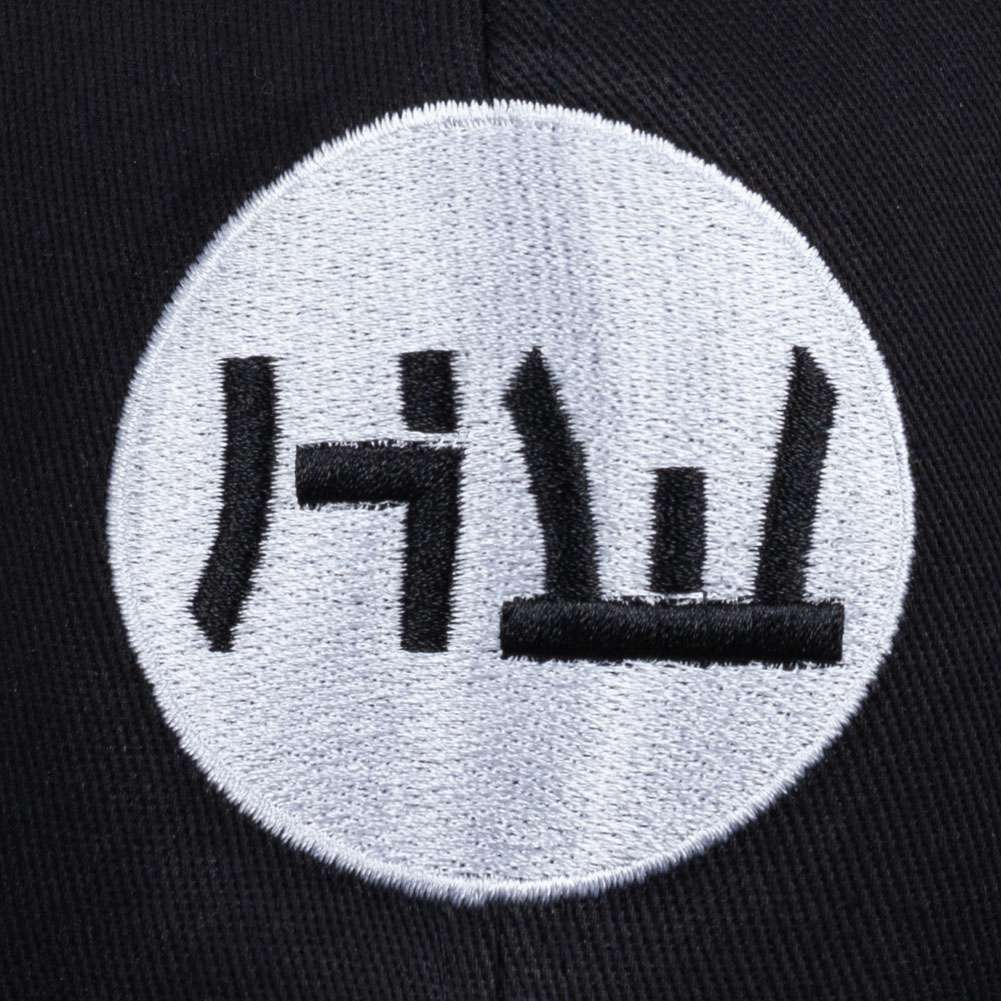 HIDETOSHI WAKASHIMA 