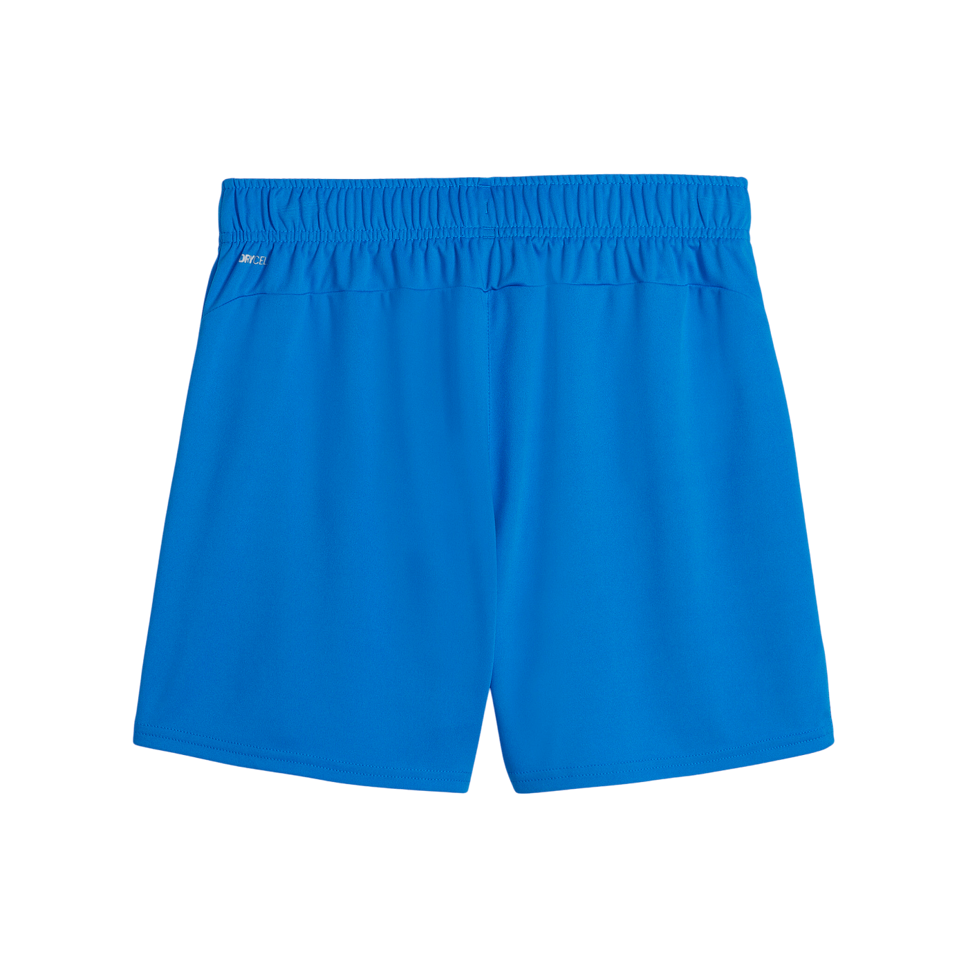 PUMA teamGOAL Short Damen Blau F02