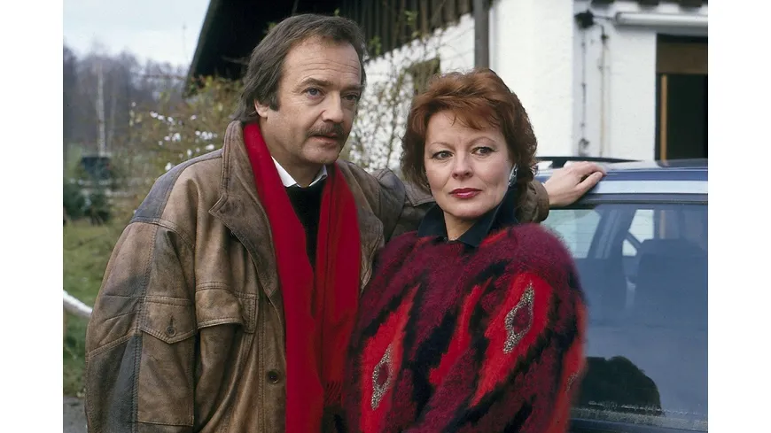 Waldhaus - Die komplette ZDF-Serie in 18 Teilen (Fernsehjuwelen)  [6 DVDs]