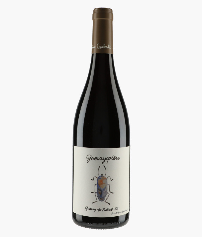 Côteaux Bourguignons Gamayoptère Gamay du Pierrot 2021LIENHARDT ANTOINE
