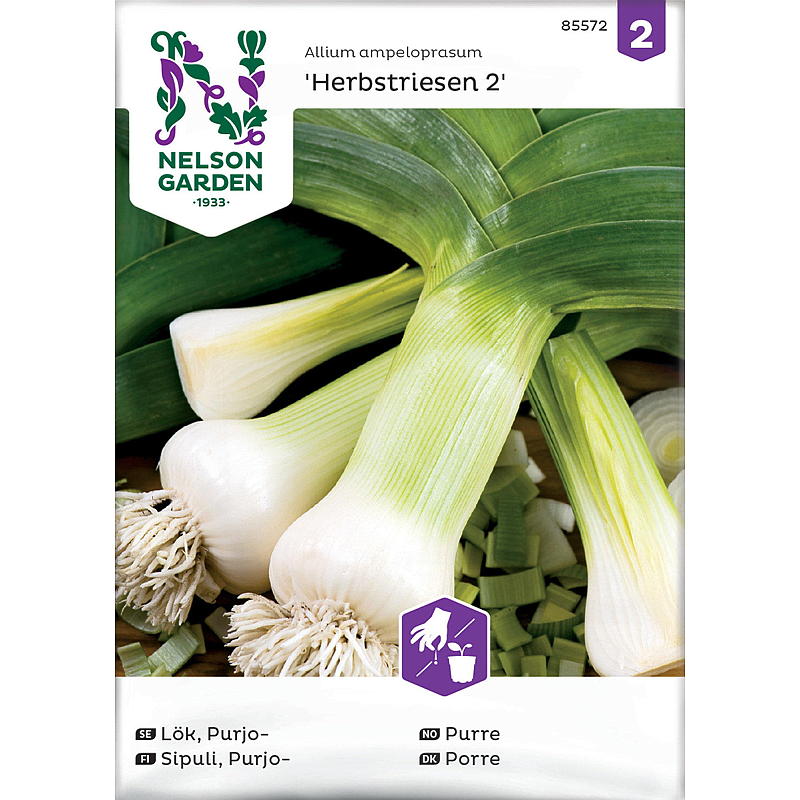 Nelson garden Frø Purre Herbstriesen 2, høst