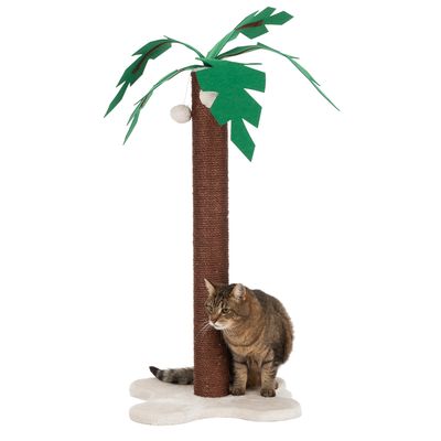 Kratzstamm Coco Palm
