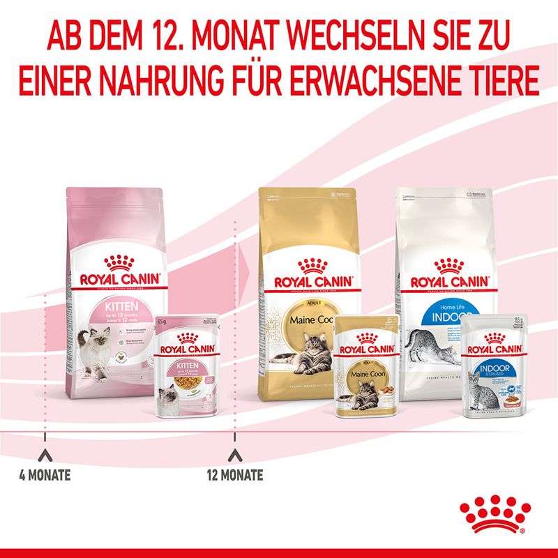 Royal Canin Kitten in Gelee zu TOP-Preisen