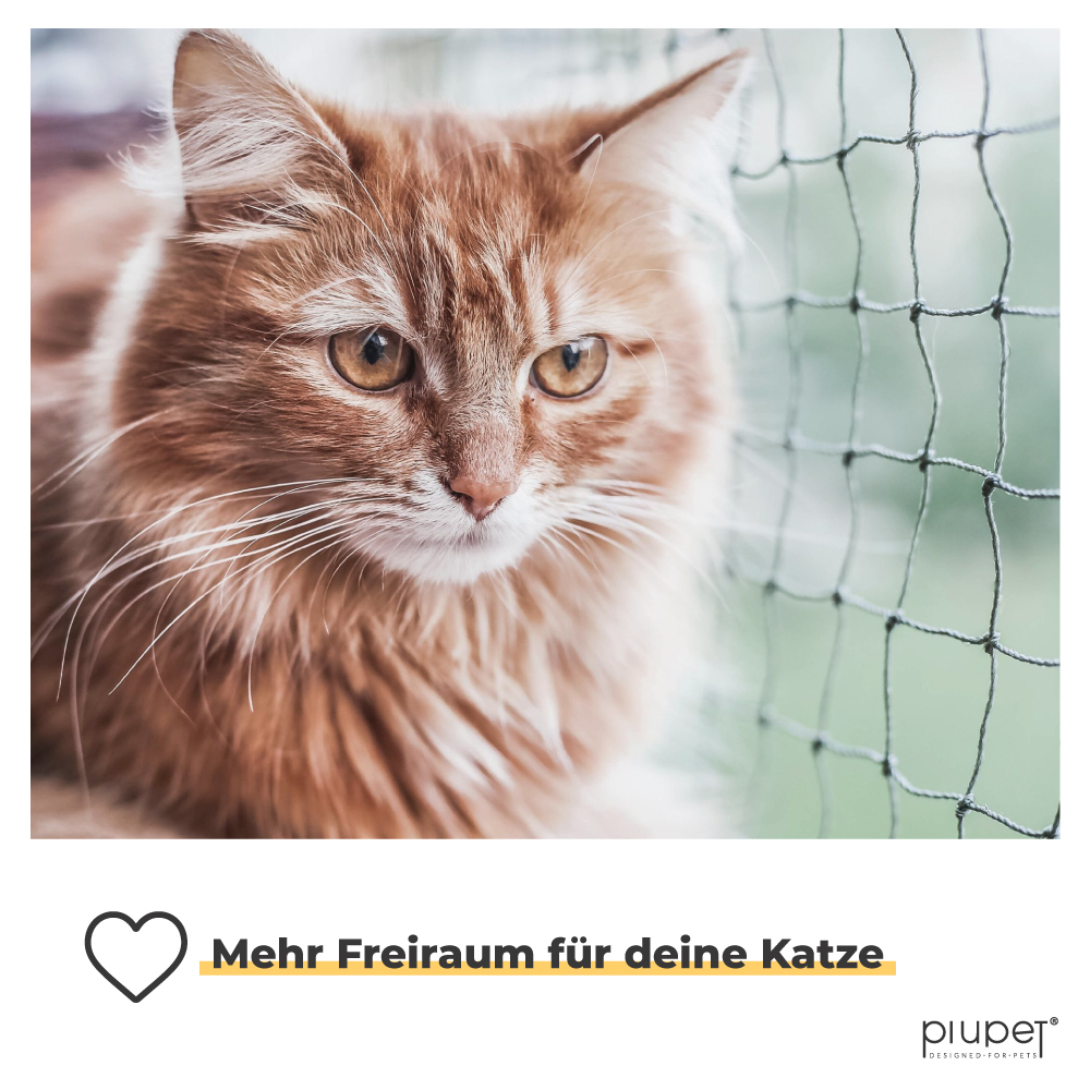 PIUPET Schutznetze PIUPET Katzennetz drahtverstärkt