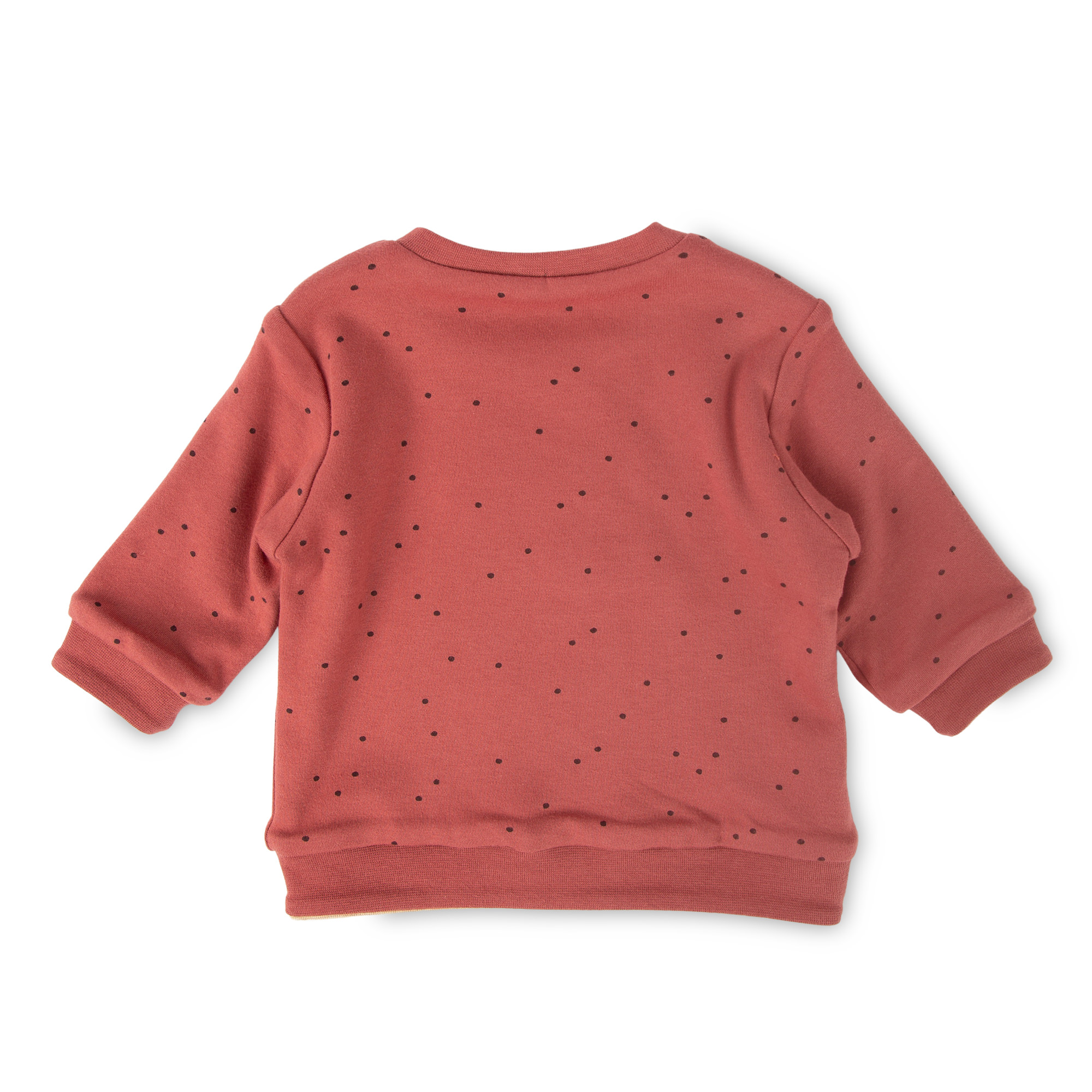 Baby Wendeshirt rotbraun mit Pünktchen/bunter Herbstprin