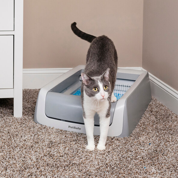 Selbstreinigende Katzentoilette ScoopFree