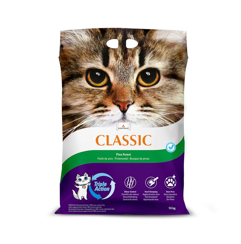 Intersand Classic Katzenstreu Pinienwald