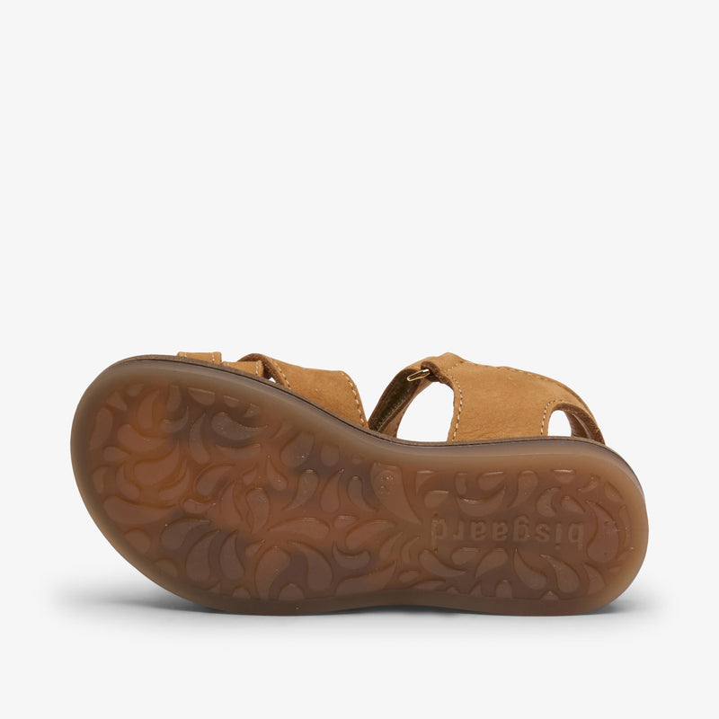 becca o cognac - Braun