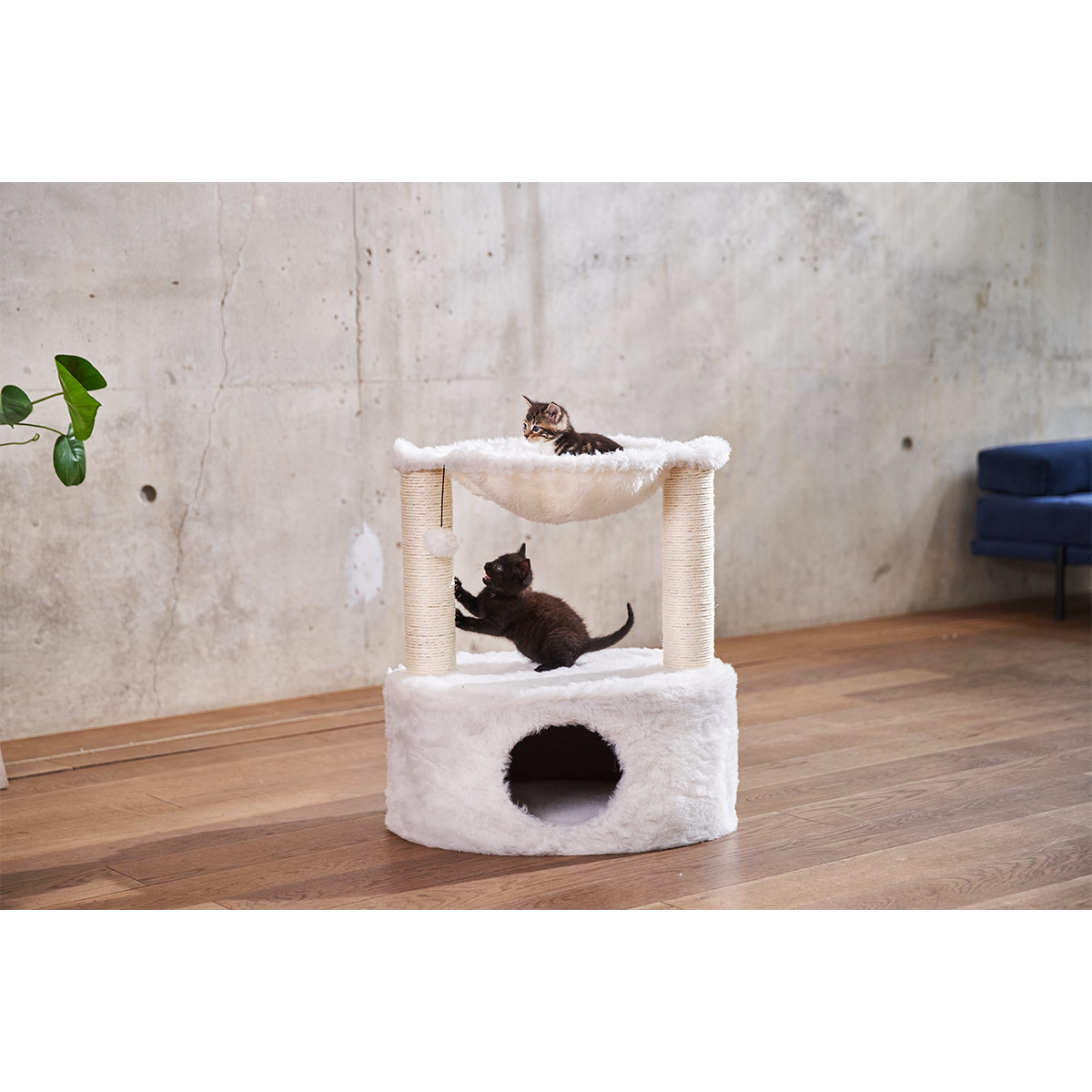 ZooRoyal Kratzbaum Nora 60 cm günstig kaufen