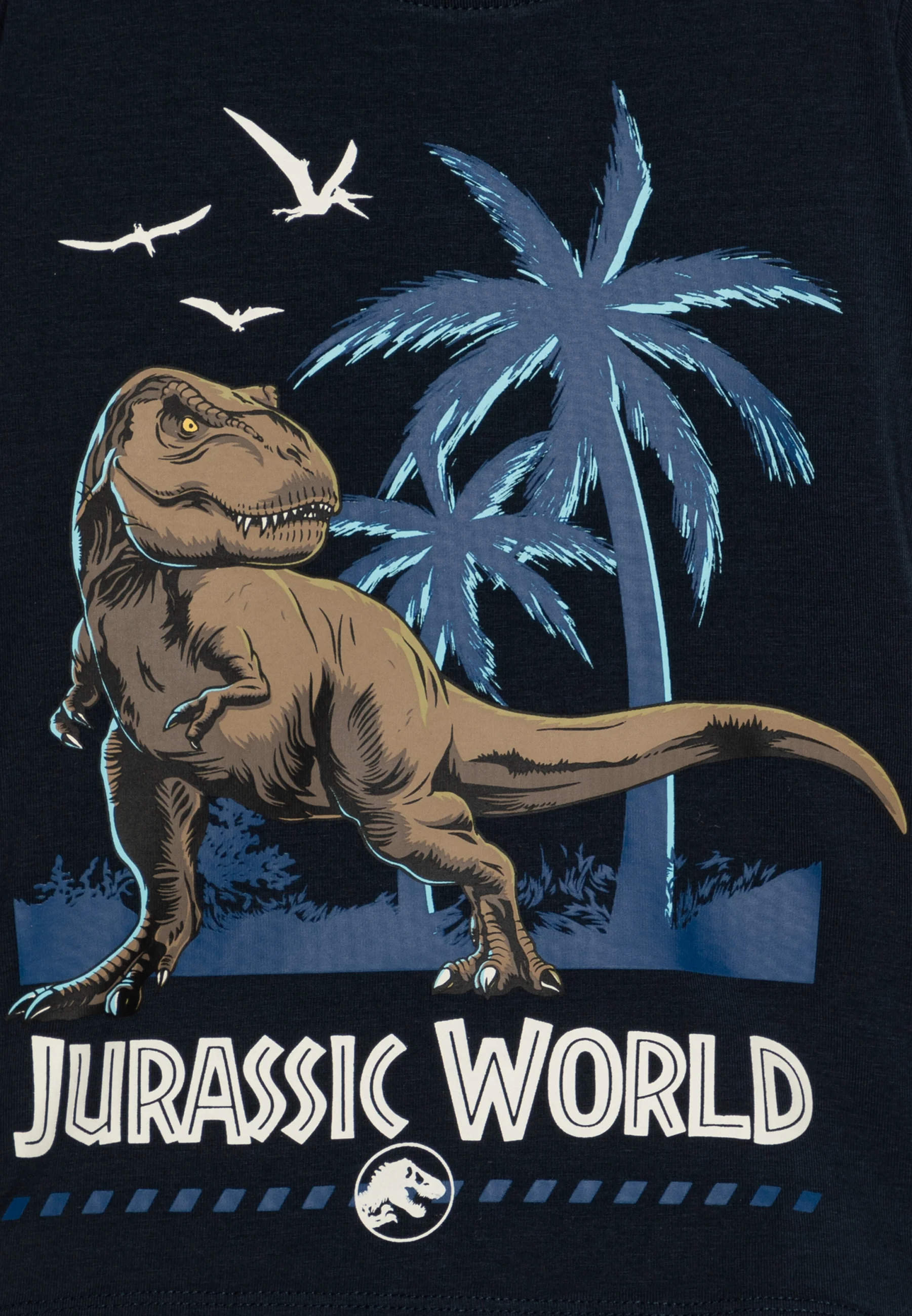Nómbralo NMMMARINO JURASSIC SKY - Camiseta con estampado