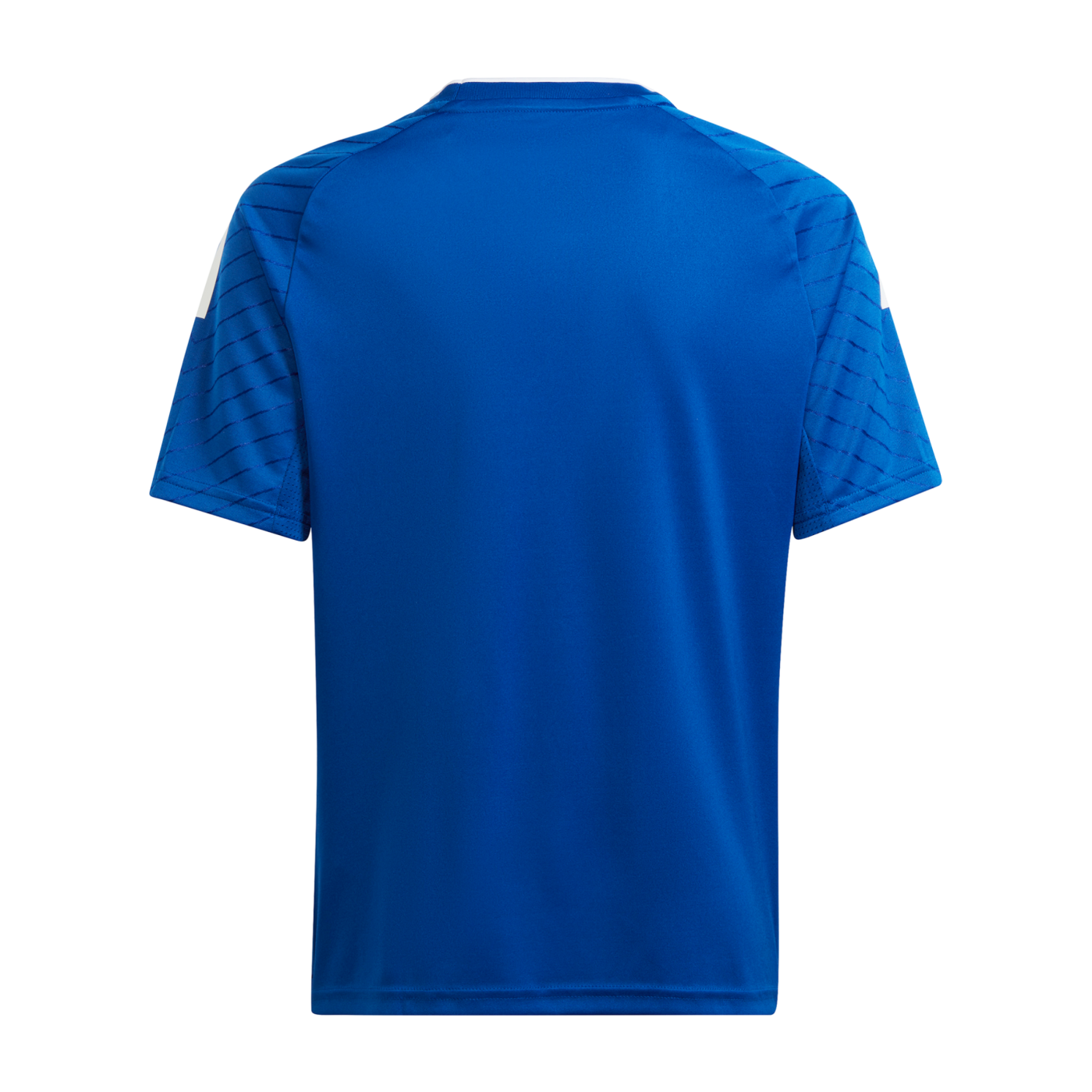 adidas Campeon 23 Trikot Blau