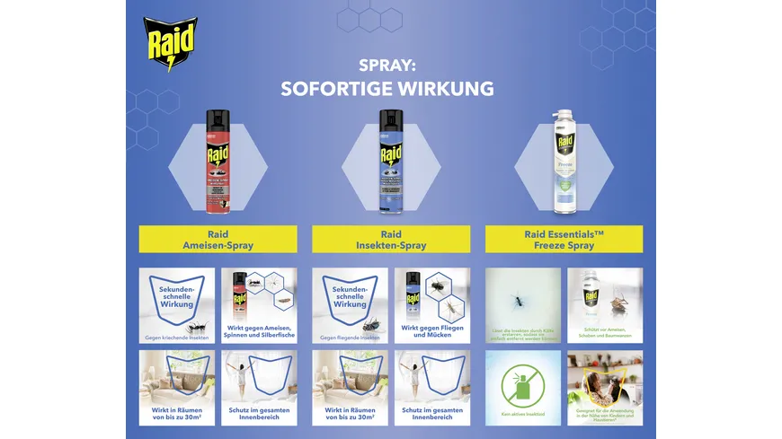 Raid Ameisen-Spray gegen kriechende Insekten 400 ml