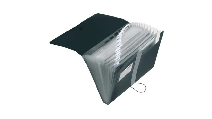herlitz Fächermappe mit 12 Fächern A4 schwarz
