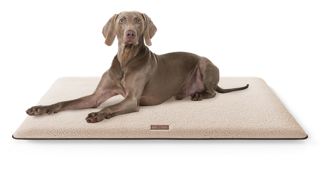 Knuffelwuff Hundematten Knuffelwuff kuschelige Hundematte Calliope aus Teddy Material beige XL
