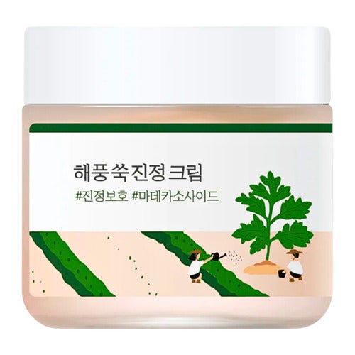 Krem łagodzący Round Lab Mugwort 80 ml