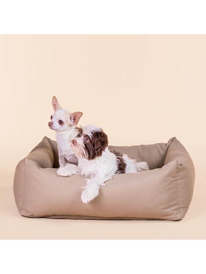 Paikka Hundebett in Hellbraun günstig kaufen 50x60 cm