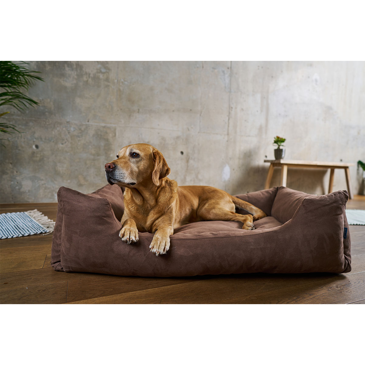 ZooRoyal Hundebett Dream braun günstig kaufen