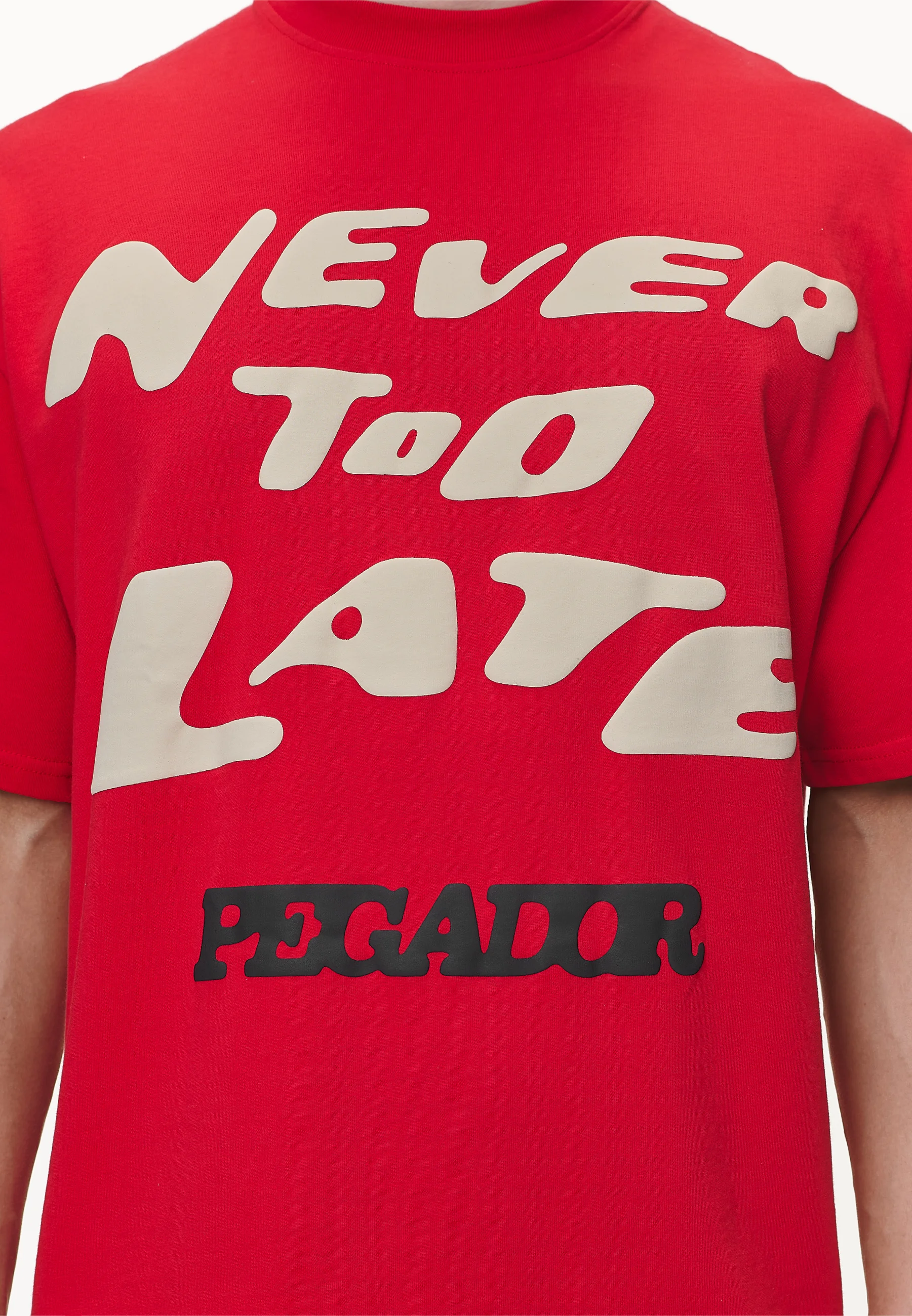 Pegador COREY BOXY TEE - Camiseta con estampado