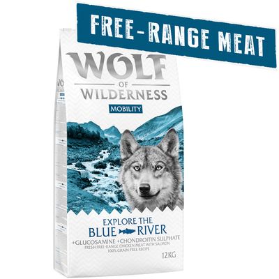 Wolf of Wilderness 