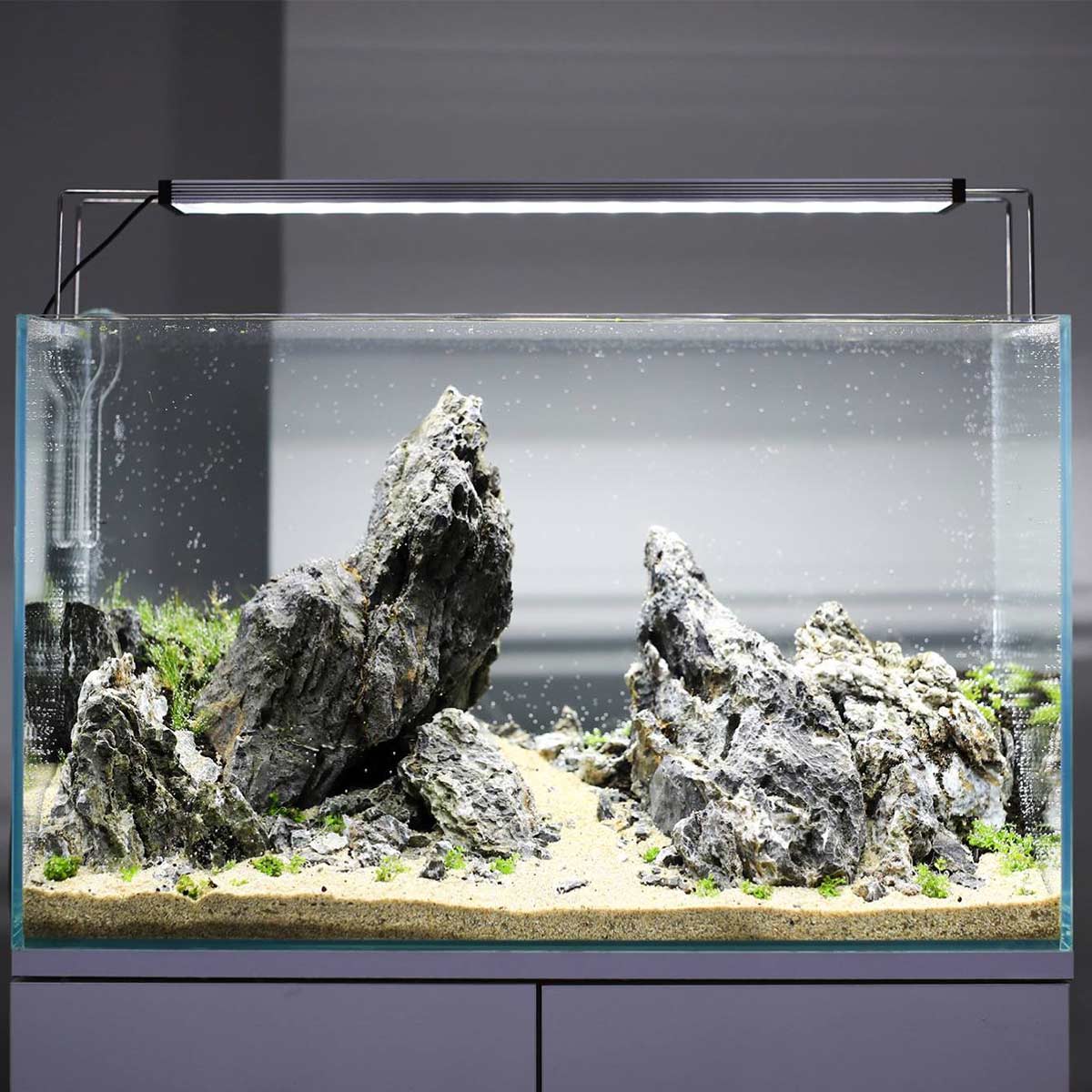 TWINSTAR LED LIGHT II Adjustable Type CA kaufen