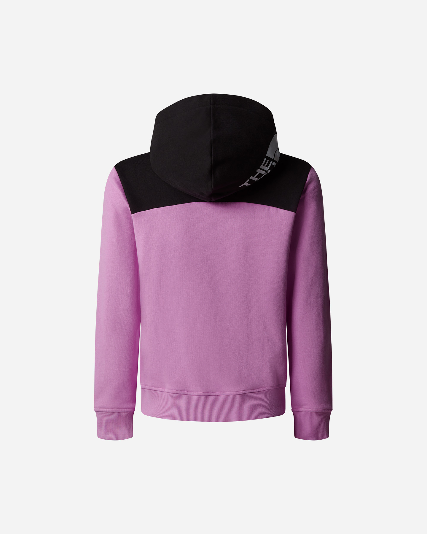 Logo Felpa The North Face na plecach Relaxed Jr NF0A89HC1I81